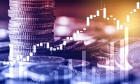 深天马Ａ：截至2025年2月28日公司股东户数为71381户